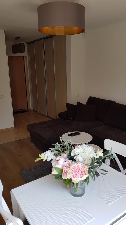 Cozy Garden Free Parking Διαμέρισμα Βίλνιους Εξωτερικό φωτογραφία